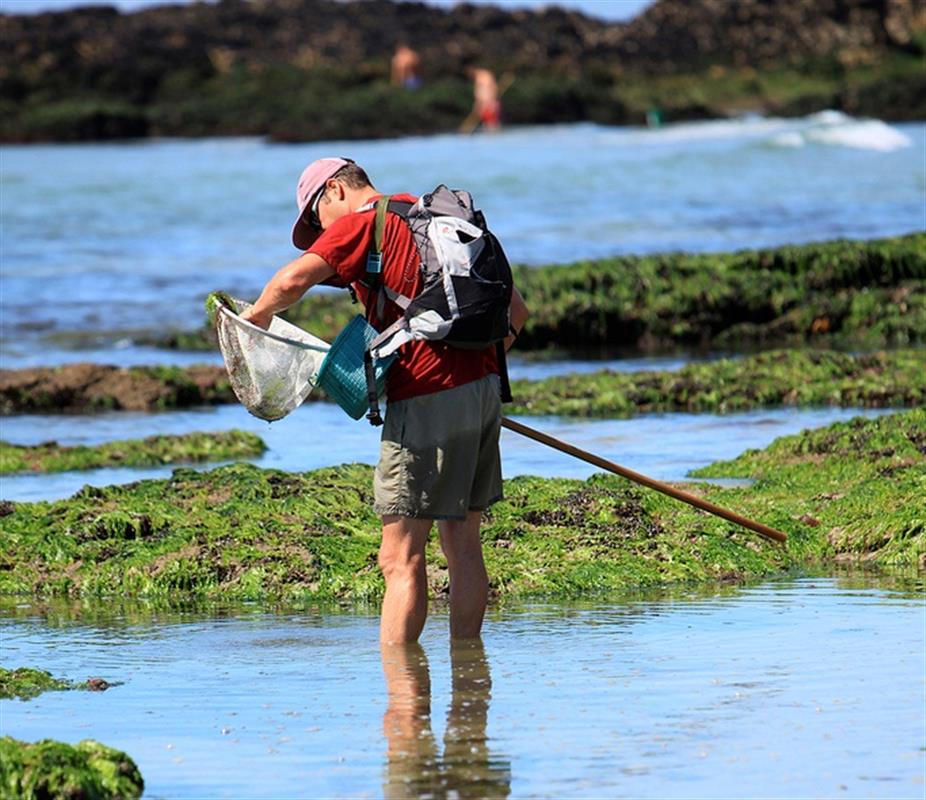 La Pêche à pied Tourisme Bretagne Sud Vacances Morbihan Vacances Presqu