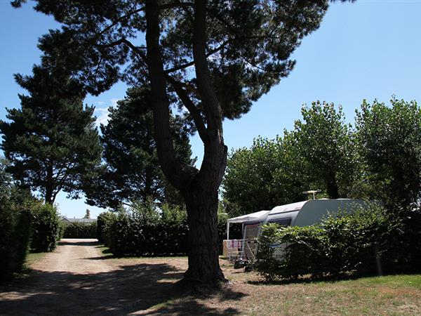 Emplacements nus tente, caravane, camping-car au camping 3 étoiles Le Cadran Solaire à Sarzeau, camping bord de mer Presqu'île de Rhuys, Vannes, Golfe de Morbihan en Bretagne Sud
