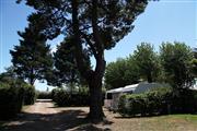 Offre spéciale sur emplacements nus tente, caravane, camping-car au camping 3 étoiles Le cadran Solaire à Sarzeau, camping bord de mer Presqu'île de Rhuys, Vannes, Golfe de Morbihan en Bretagne Sud