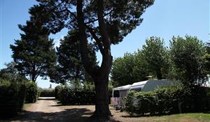 Offre spéciale sur emplacements nus tente, caravane, camping-car au camping 3 étoiles Le cadran Solaire à Sarzeau, camping bord de mer Presqu'île de Rhuys, Vannes, Golfe de Morbihan en Bretagne Sud