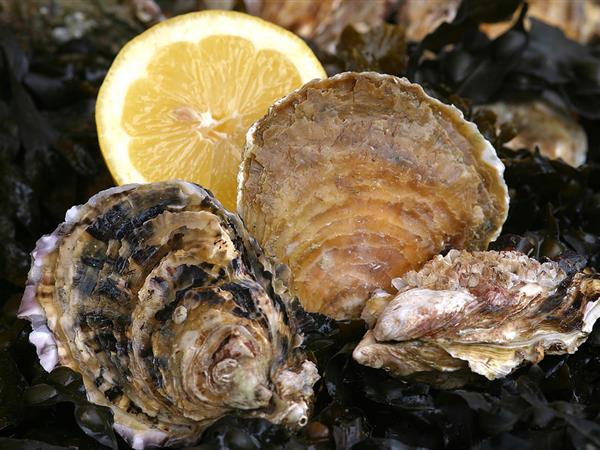 La gastronomie bretonne - Camping 3 étoiles Le Cadran Solaire à Sarzeau, camping bord de mer Presqu'île de Rhuys, Vannes, Golfe de Morbihan en Bretagne Sud