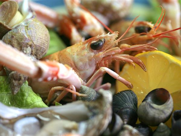 La gastronomie bretonne - Camping 3 étoiles Le Cadran Solaire à Sarzeau, camping bord de mer Presqu'île de Rhuys, Vannes, Golfe de Morbihan en Bretagne Sud